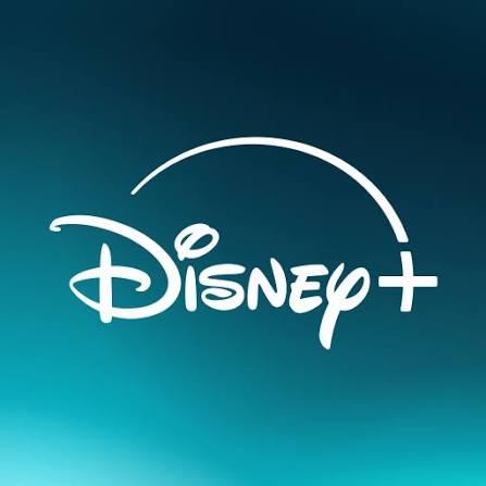 DISNEY PLUS/SINGLE SCREEN